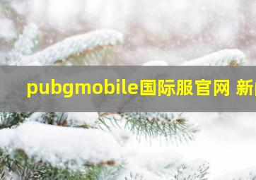 pubgmobile国际服官网 新闻